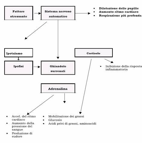 stress,  stress management,  sul lavoro,  relief, dimagrire , programma intervento prevenzione ridurre stress, reduction, viaggiare , stress test, trattamento anti , consulente gestione ,  disorder, stress management, dove scaricare stress, patologie psicologiche correlate ,  reliever,  gestione dello stress,  