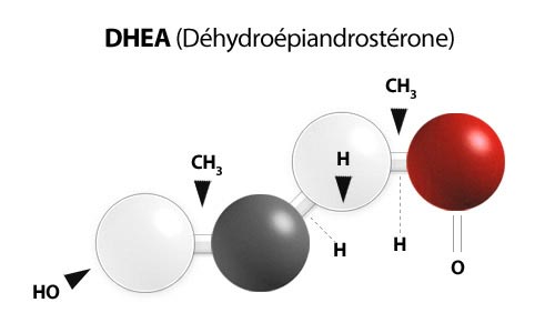 Graphical Representation of DHEA (Dehydroepiandrosterone)